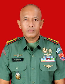 Kolonel Ckm dr. I Nyoman Linggih, M.A.R.S